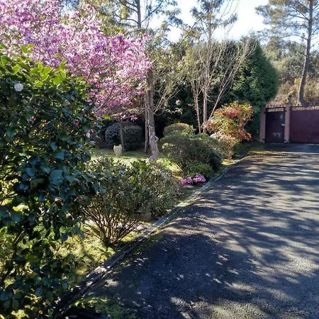 Una Casa Con Bosque De Robles *