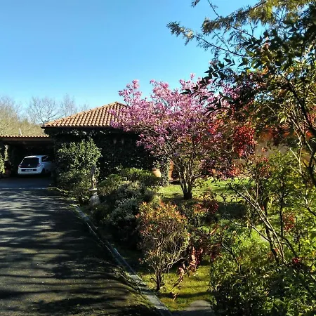 Villa Una Casa Con Bosque De Robles